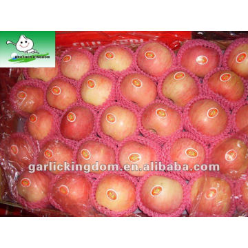 Shandong Fuji Apple (18kg carton, 125-138-150PCS)